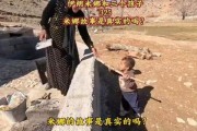 伊朗女人米娜最新爆料