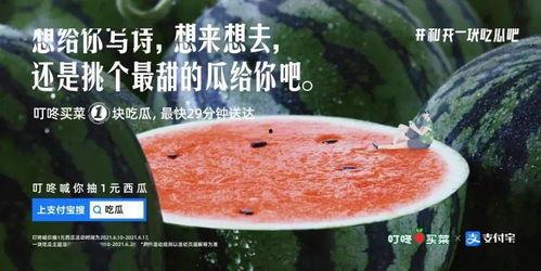 关于娱乐圈的吃瓜文案